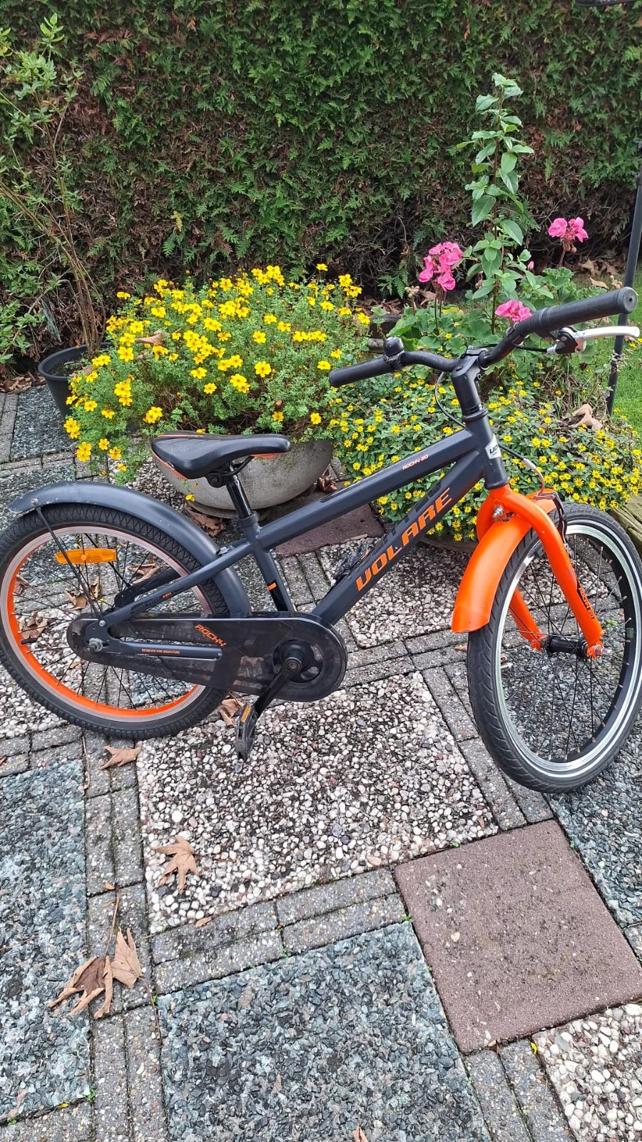 Jongensfiets 20 inch VOLARE ROCKY20 — foto 1 van 6